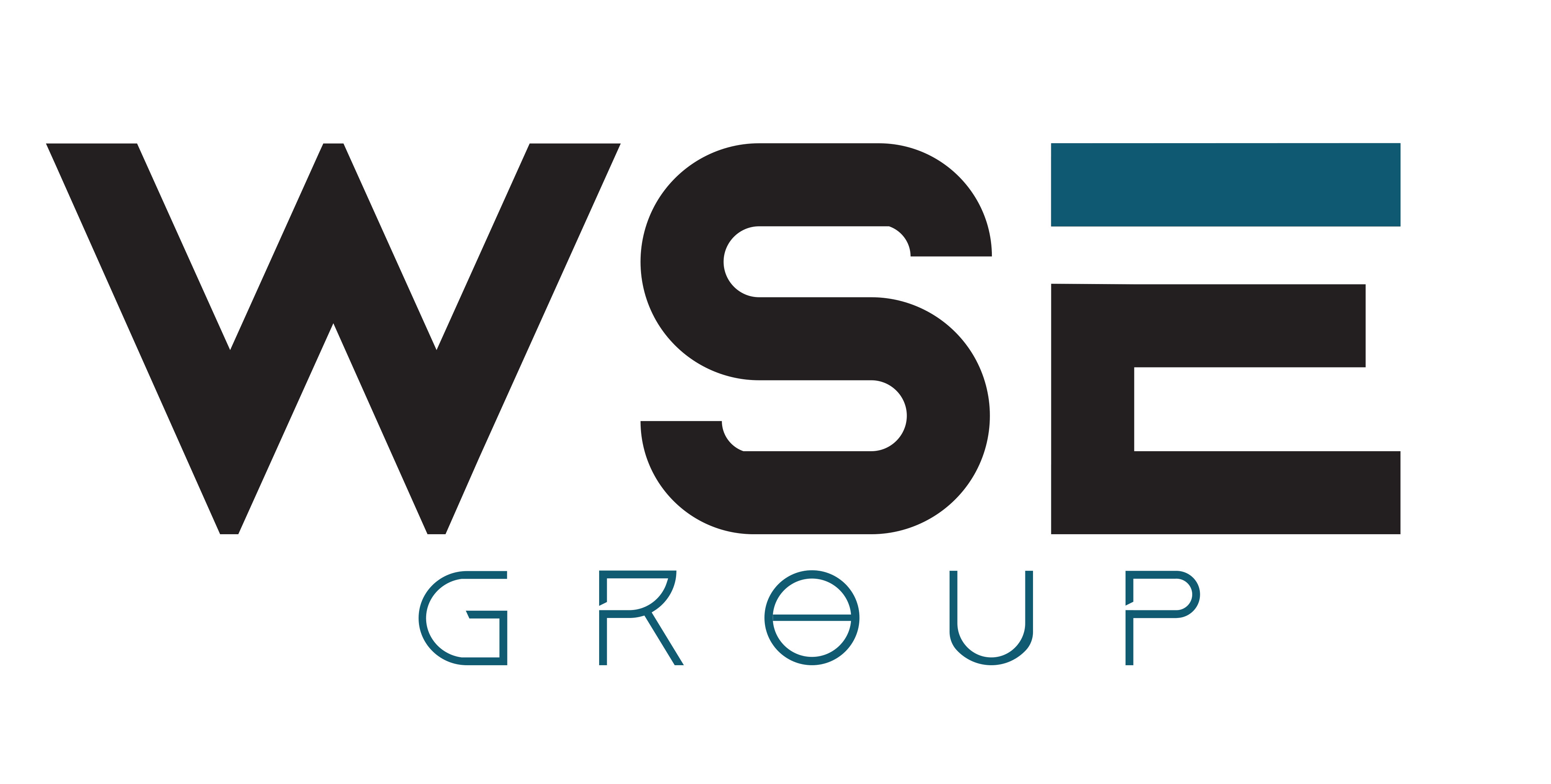 WSE logo